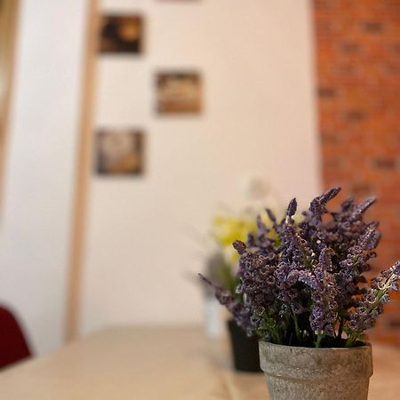Mossapartments Bucureşti Eksteriør bilde