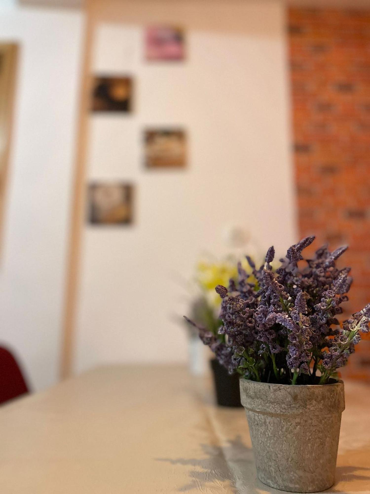 Mossapartments Bucureşti Eksteriør bilde